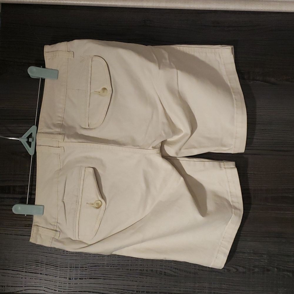 American Eagle Khaki Shorts - Picture 2 of 9